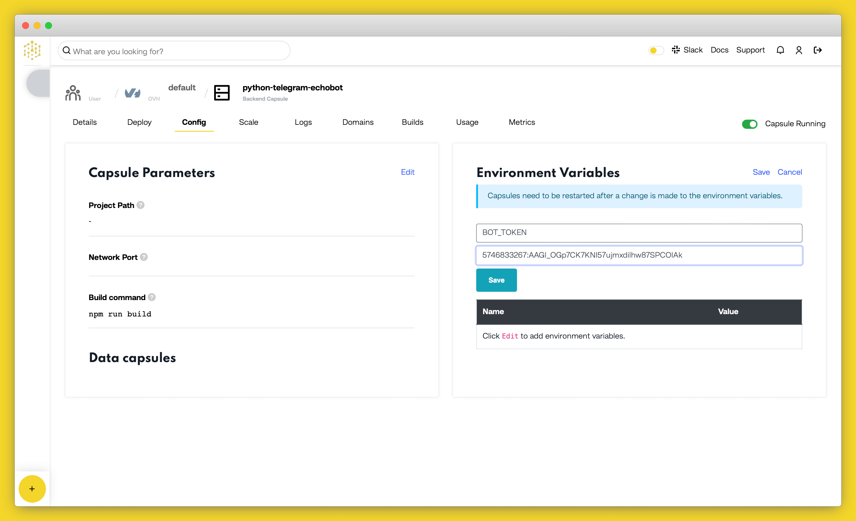 add bot token env var