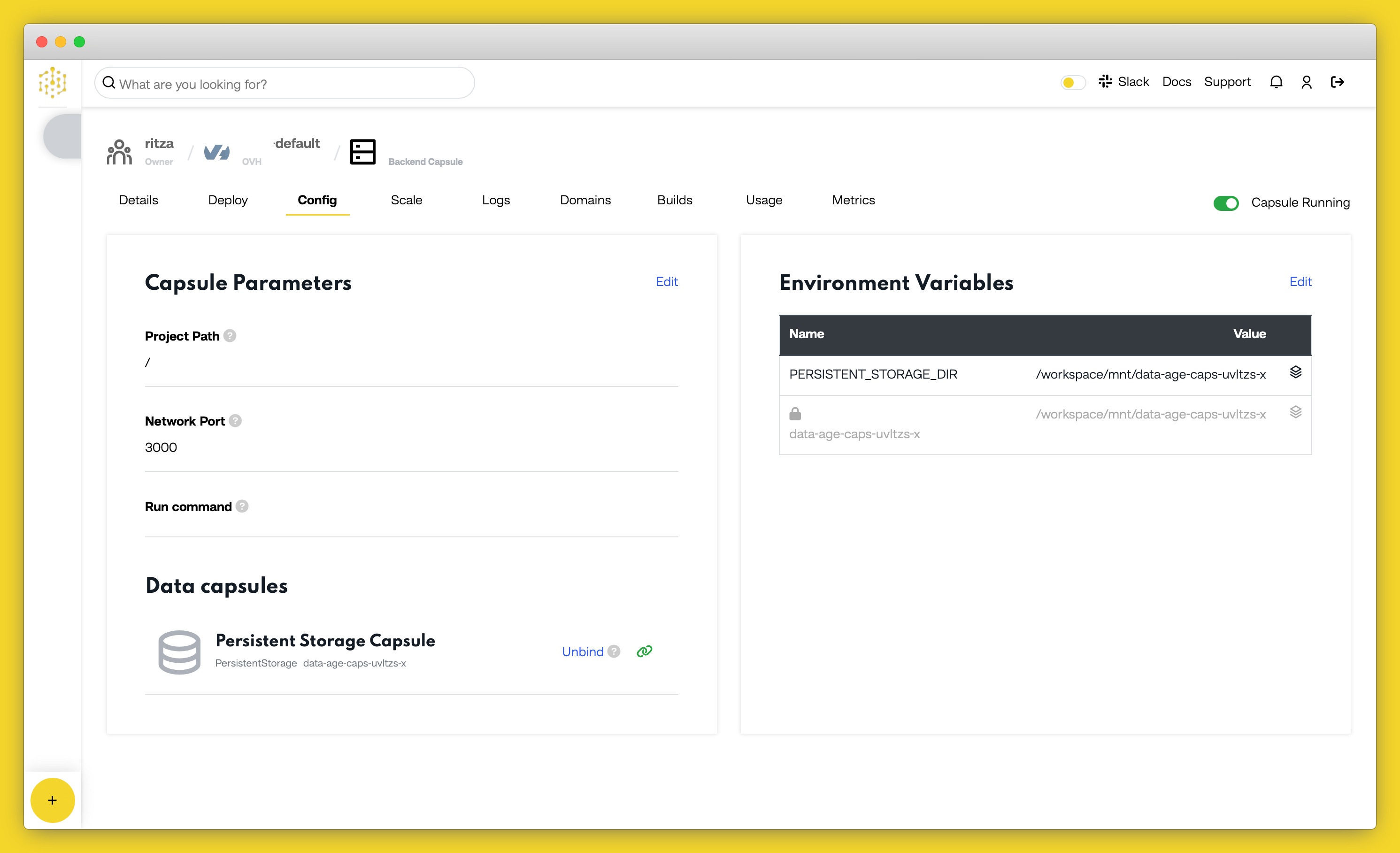 env variables persistent storage