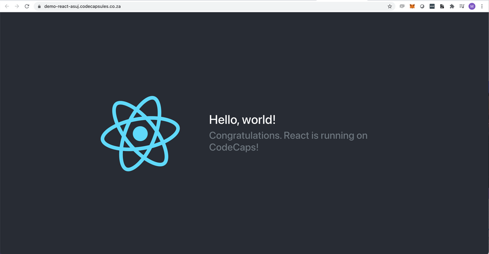 react frontend capsule