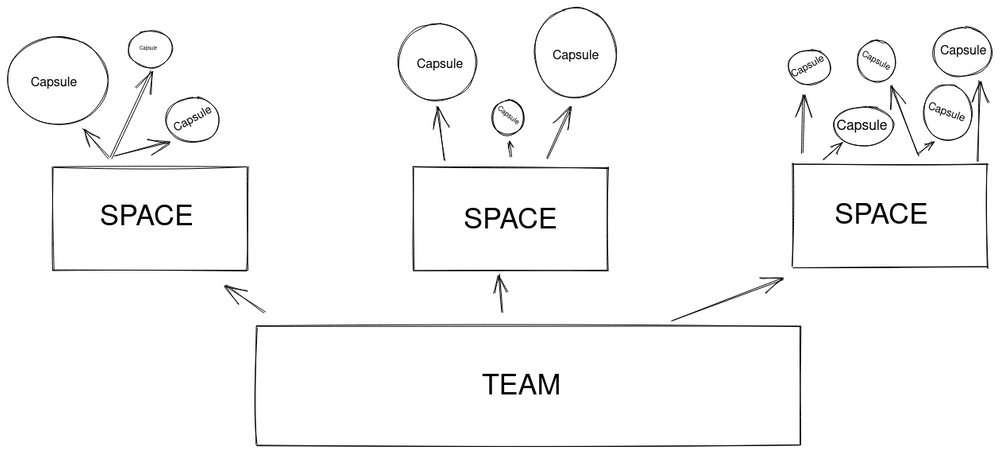 teamspacecapsule